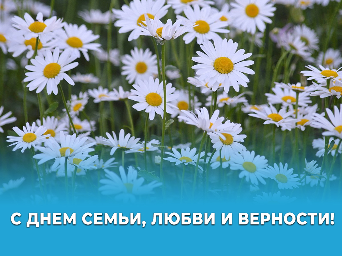 8 июля – День семьи, любви и верности.